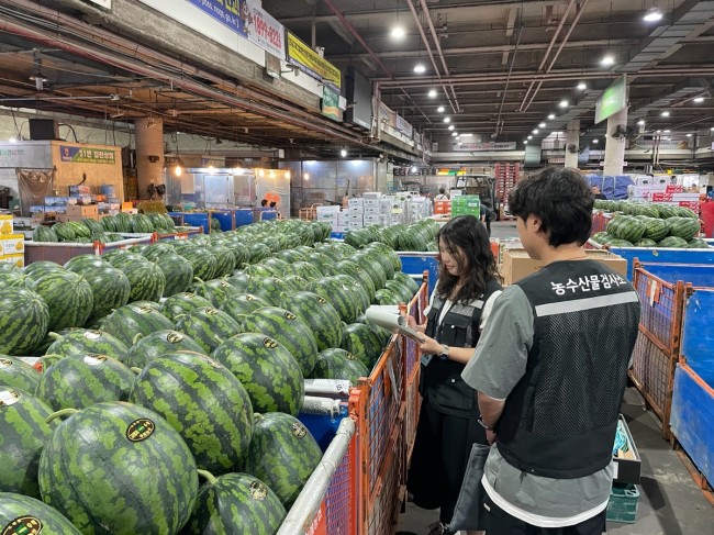 대구시, 여름 휴가철 먹거리 안전 지킨다…다소비 농산물 집중 점검
